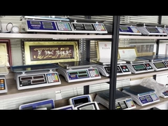 WALL-E skala lantai platform skala lantai stainless steel Weighbridge Truck Scale